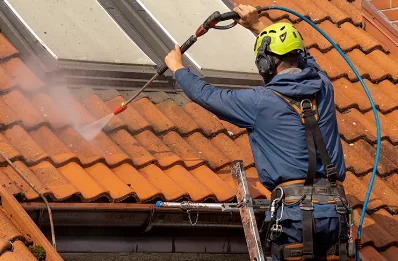 Démoussage et hydrofuge de toiture à Saint-Romain-le-Noble